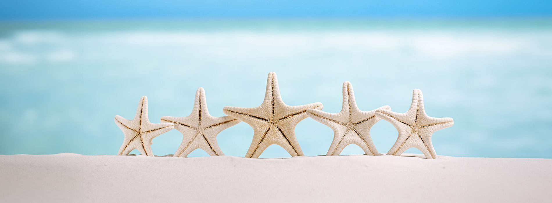 The image shows two starfish-shaped objects placed on a sandy beach, with a clear blue sky and calm ocean in the background.